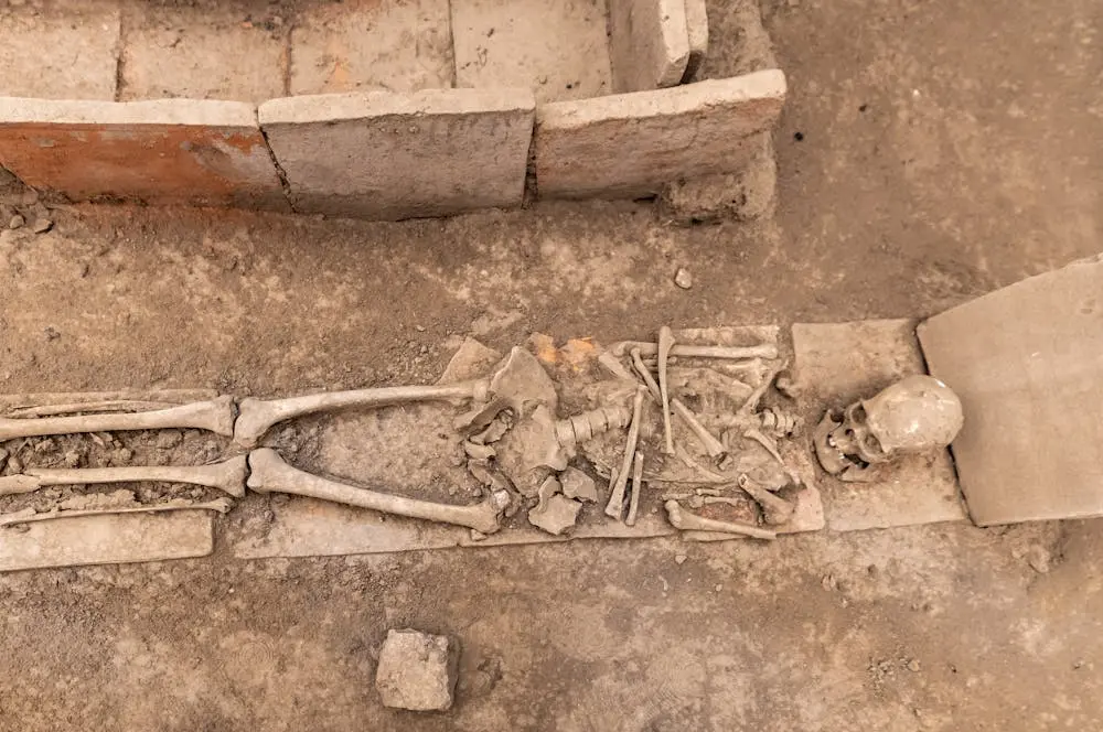 archaeological park viminacium serbia