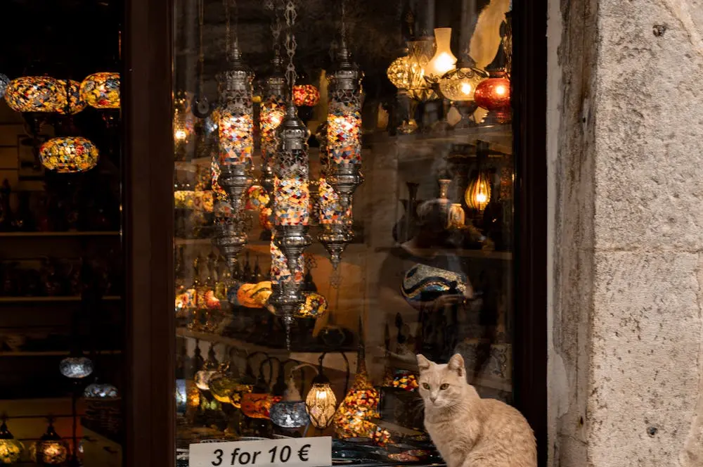 The Cat Museum in Kotor