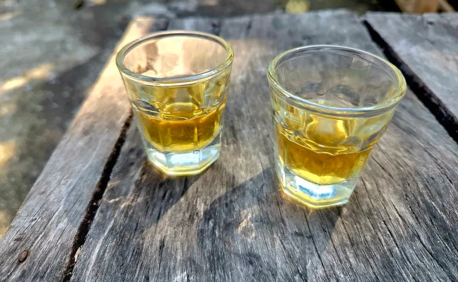 rakija serbian alcoholic drink