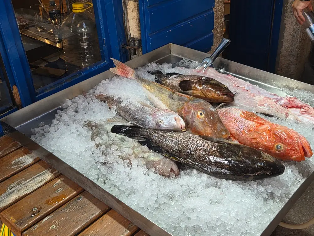 tri ribara restaurant rafailovici