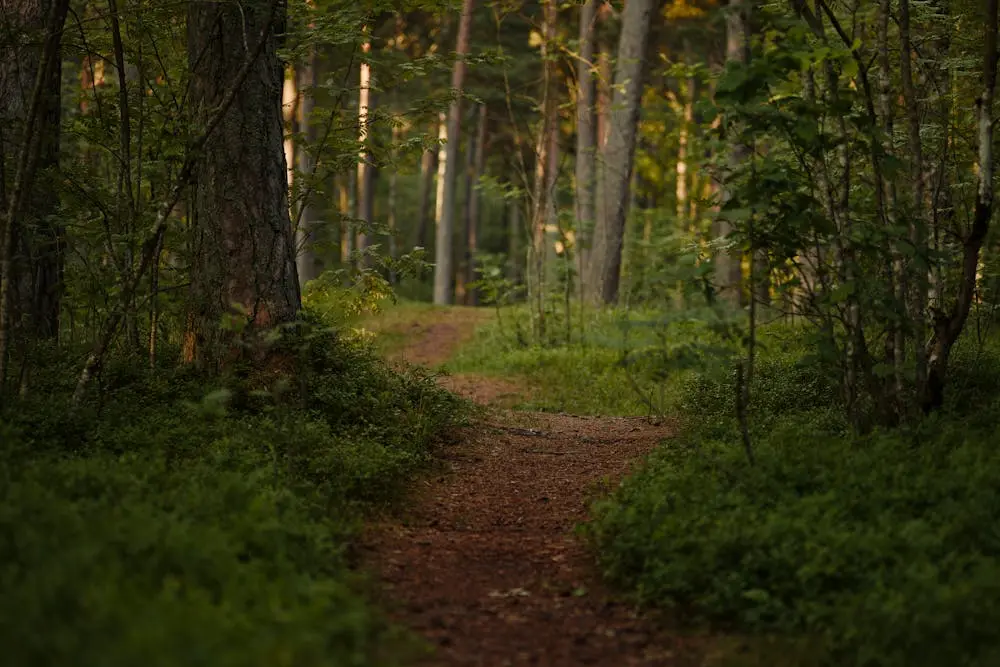 Best Places in Serbia to Escape the Summer Heat