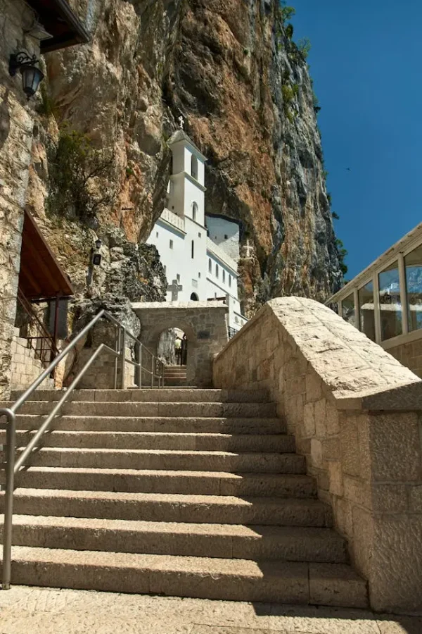 pexels-redrum-visuals-12684156 pexels-redrum-visuals-12684156